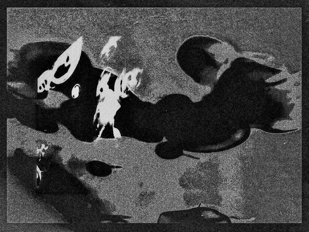 cover – WHAT IF WE KISSED AT THE INTERSECTION OF THE DIGITAL DARK AGE?